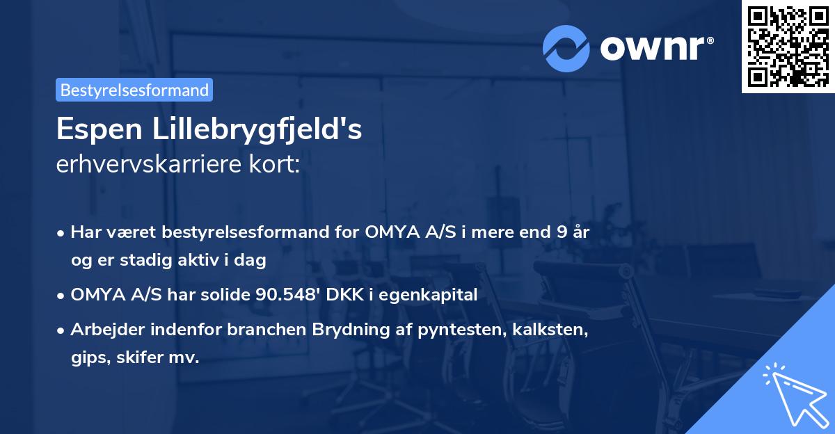 Espen Lillebrygfjeld's erhvervskarriere kort