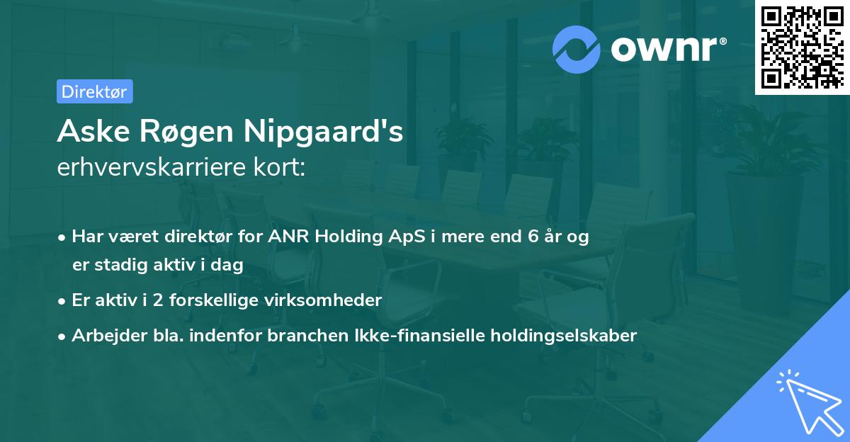 Aske Røgen Nipgaard's erhvervskarriere kort