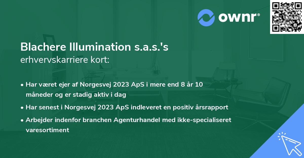 Blachere Illumination s.a.s.'s erhvervskarriere kort