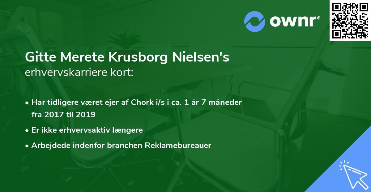 Gitte Merete Krusborg Nielsen's erhvervskarriere kort