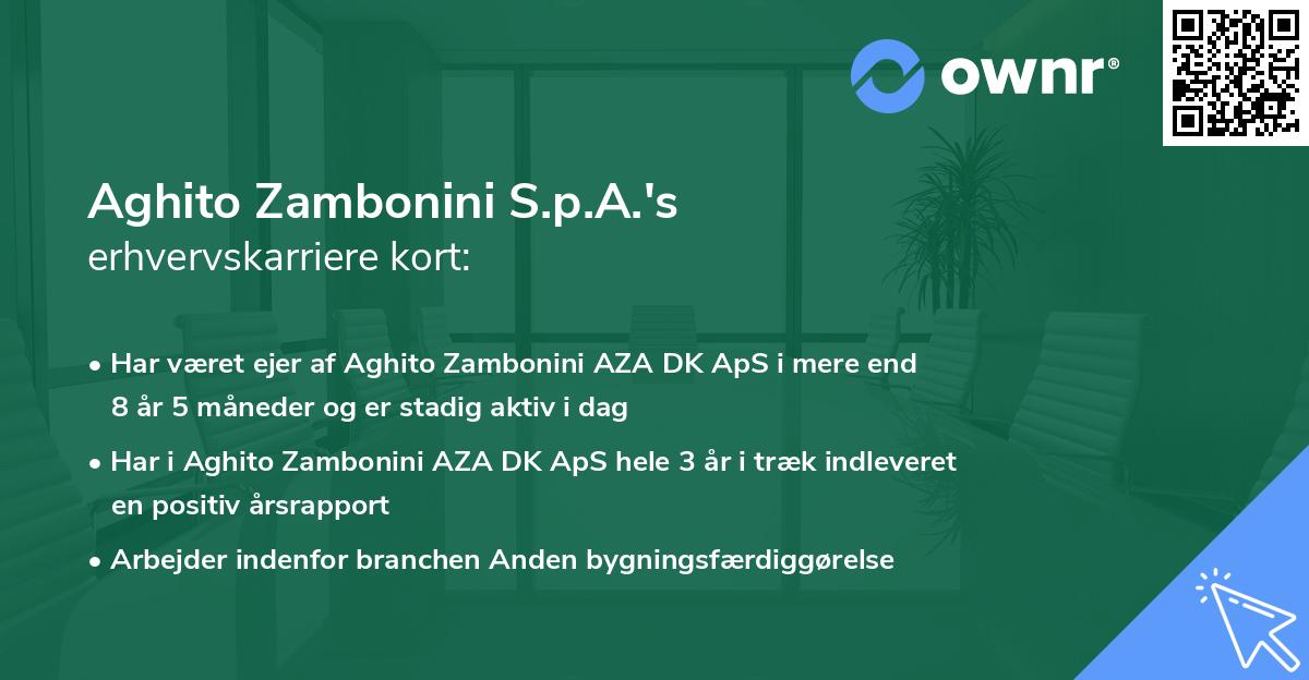 Aghito Zambonini S.p.A.'s erhvervskarriere kort