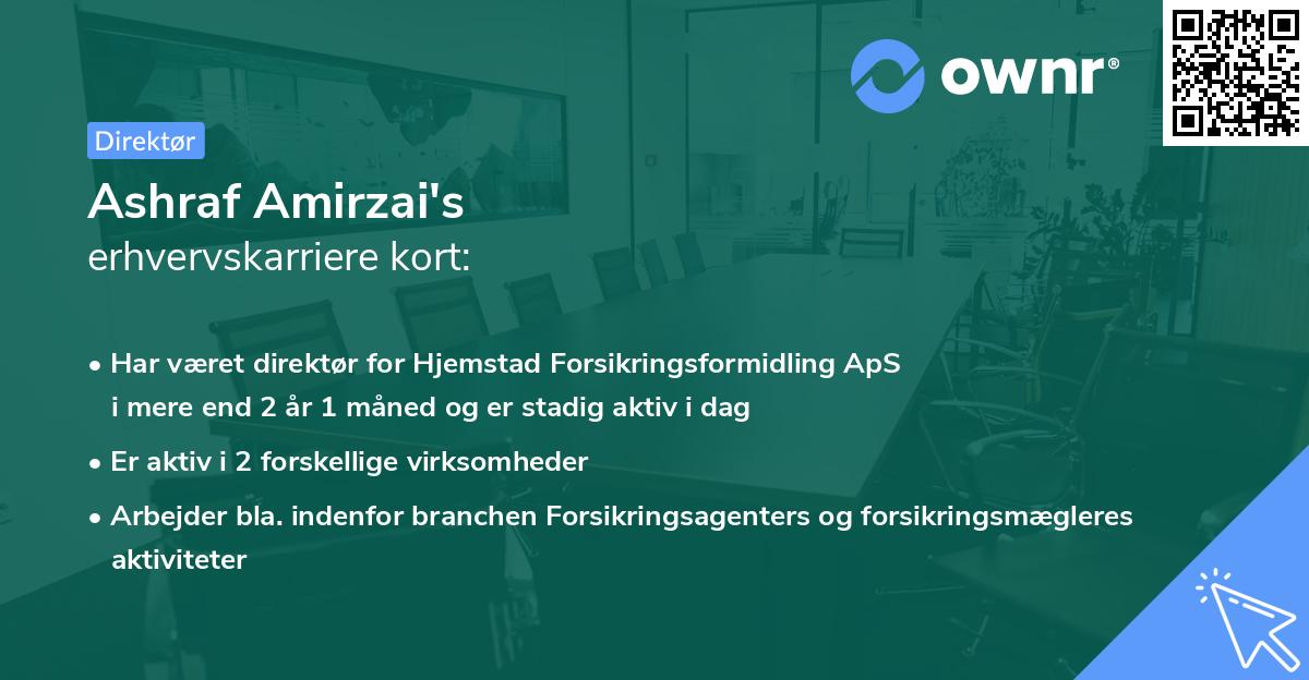 Ashraf Amirzai's erhvervskarriere kort
