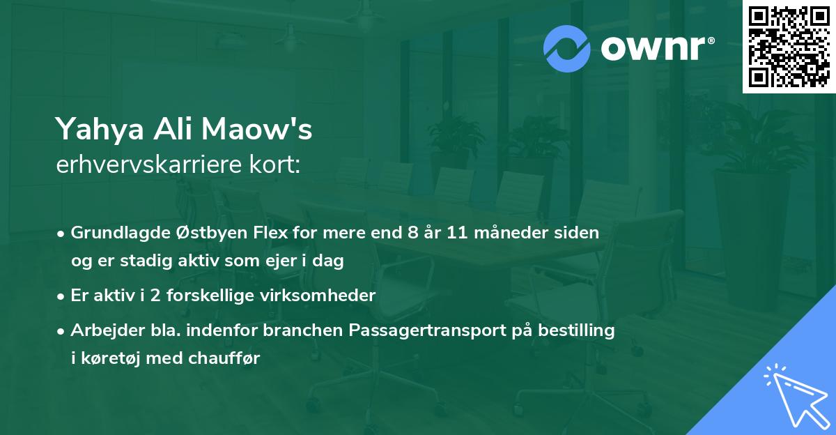Yahya Ali Maow's erhvervskarriere kort