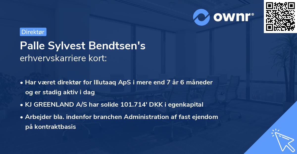 Palle Sylvest Bendtsen's erhvervskarriere kort