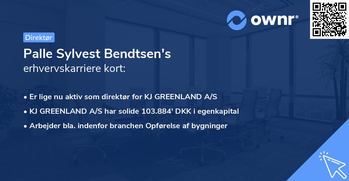 Palle Sylvest Bendtsen's erhvervskarriere kort