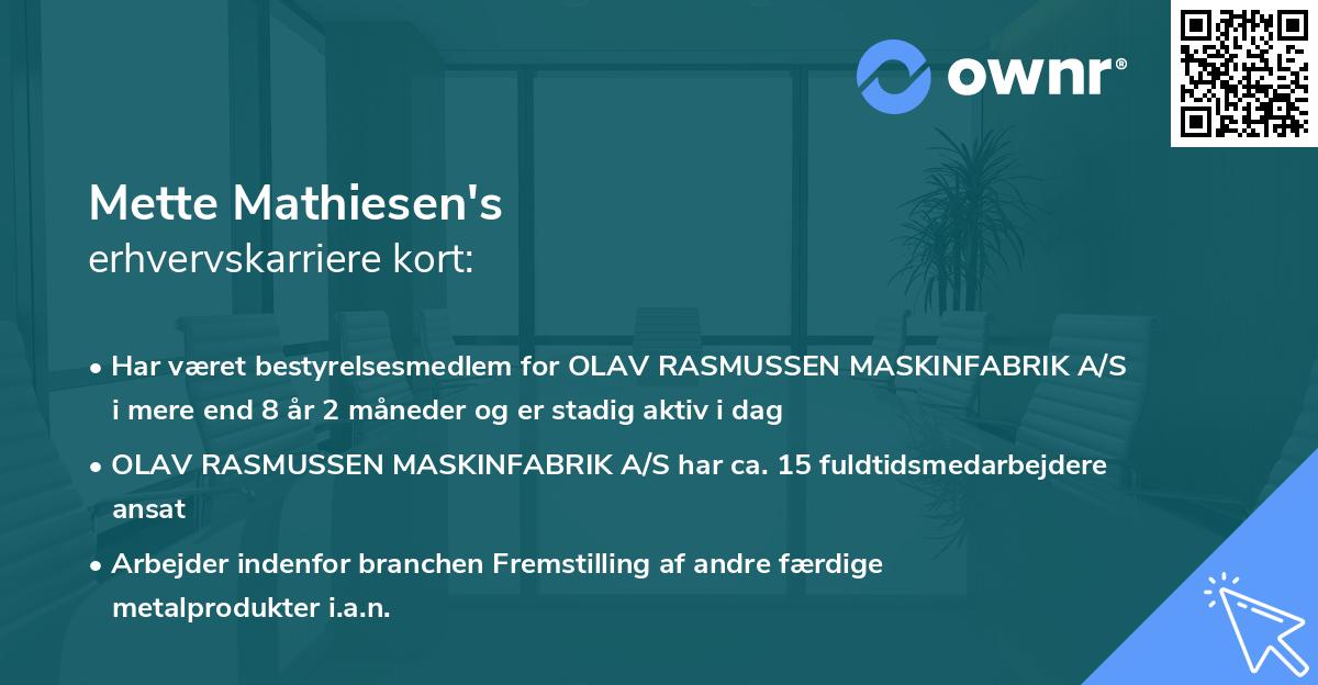 Mette Mathiesen's erhvervskarriere kort