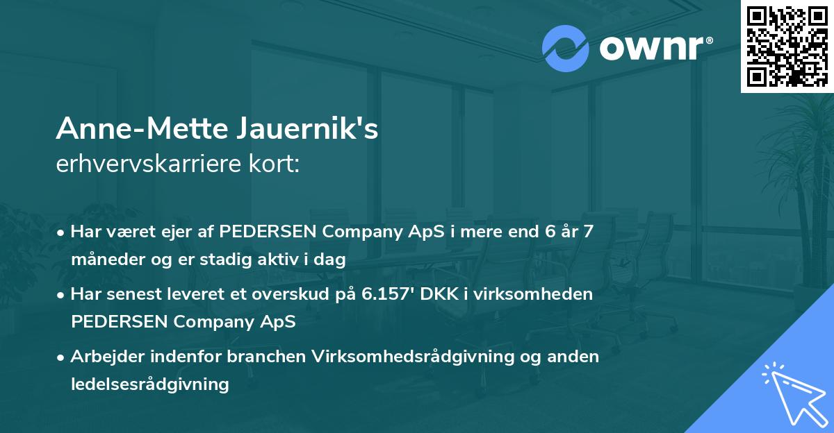 Anne-Mette Jauernik's erhvervskarriere kort