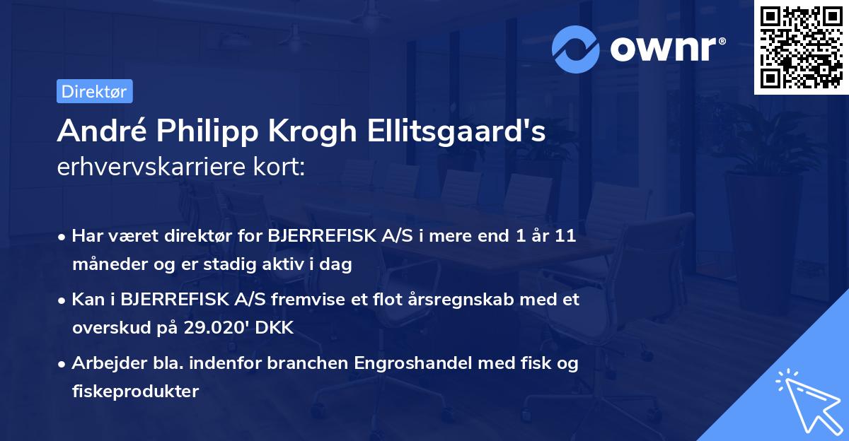 André Philipp Krogh Ellitsgaard's erhvervskarriere kort