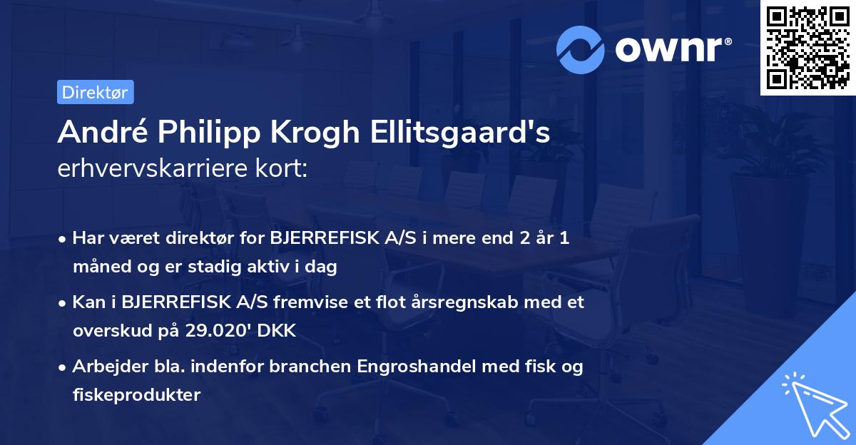André Philipp Krogh Ellitsgaard's erhvervskarriere kort