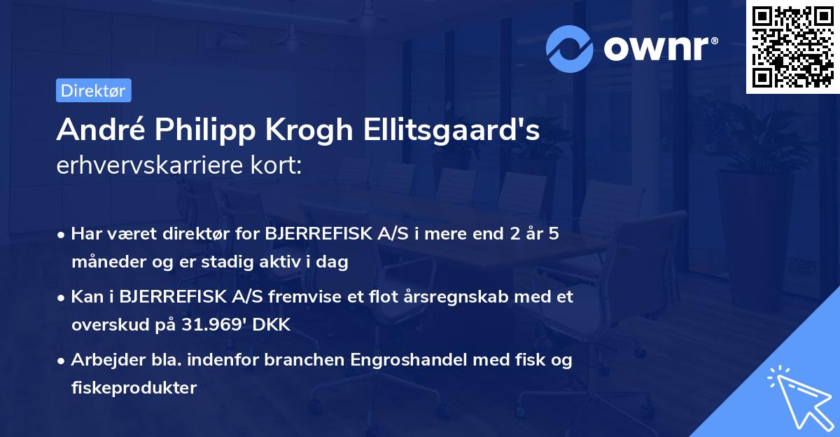 André Philipp Krogh Ellitsgaard's erhvervskarriere kort