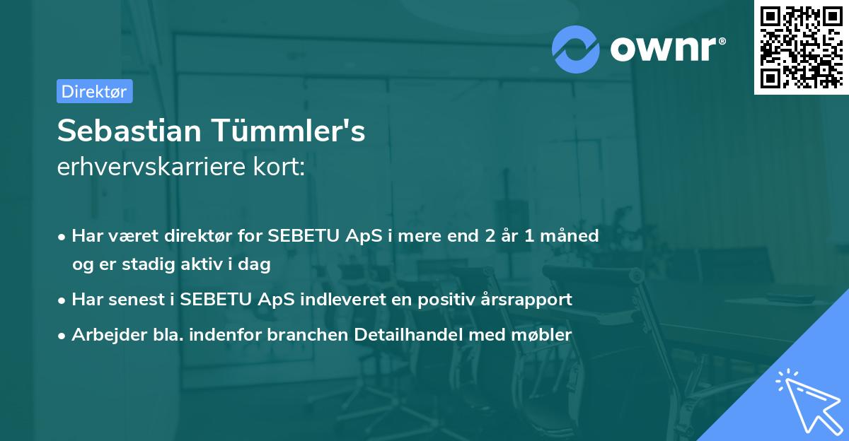 Sebastian Tümmler's erhvervskarriere kort