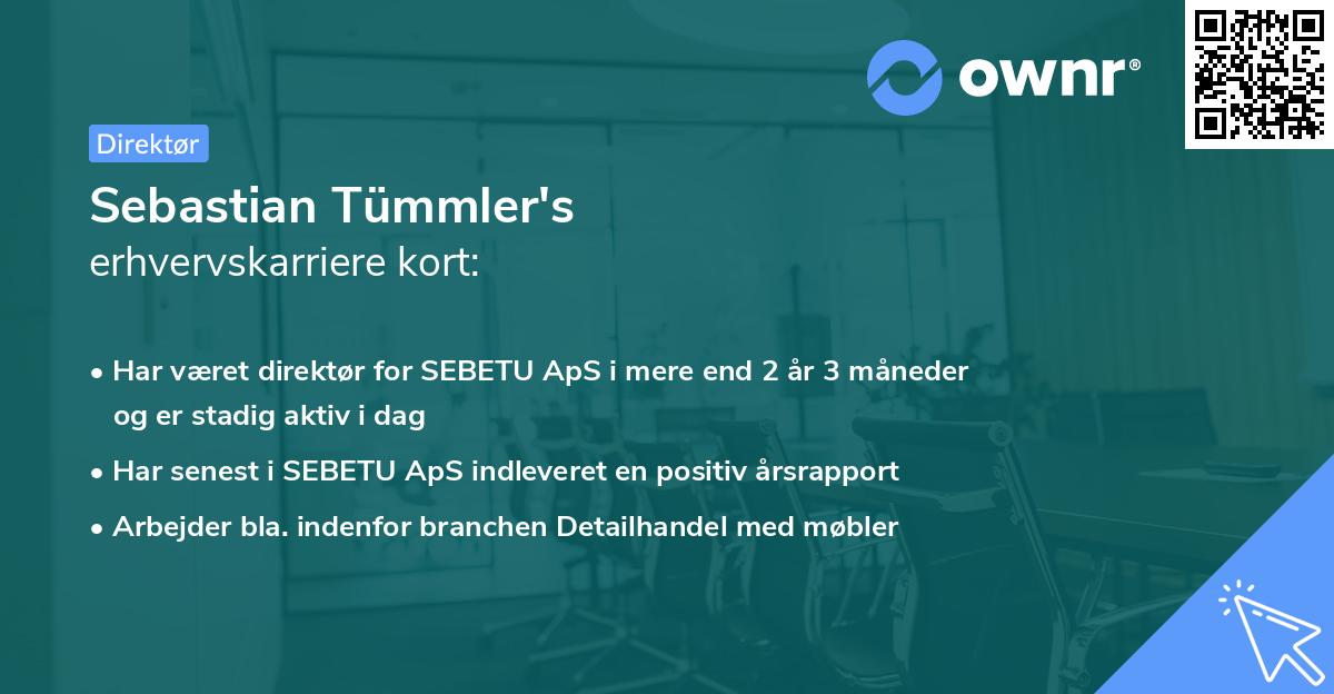 Sebastian Tümmler's erhvervskarriere kort