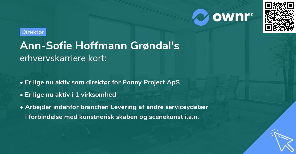 Ann-Sofie Hoffmann Grøndal's erhvervskarriere kort