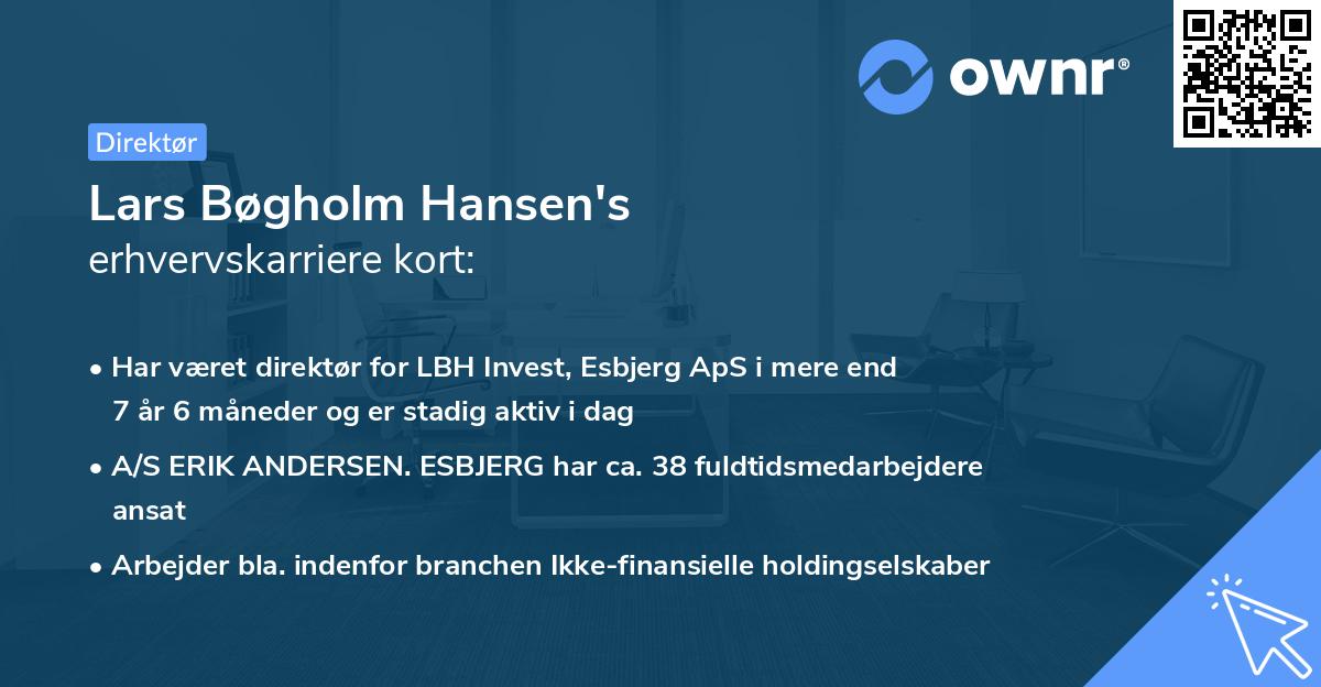 Lars Bøgholm Hansen's erhvervskarriere kort
