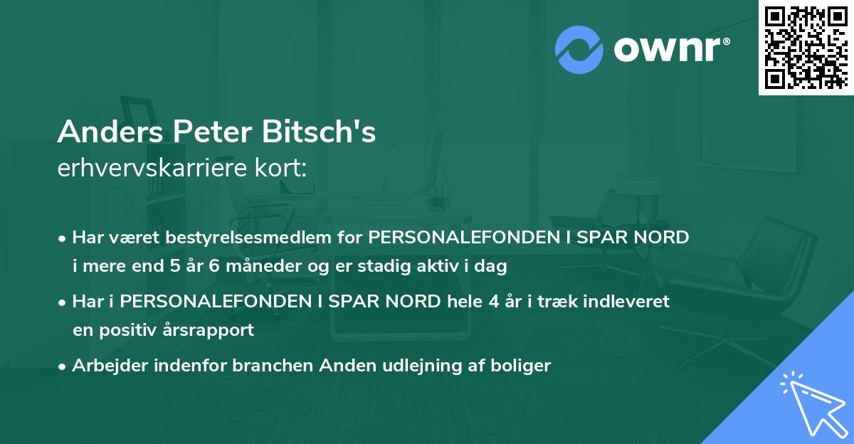 Anders Peter Bitsch's erhvervskarriere kort