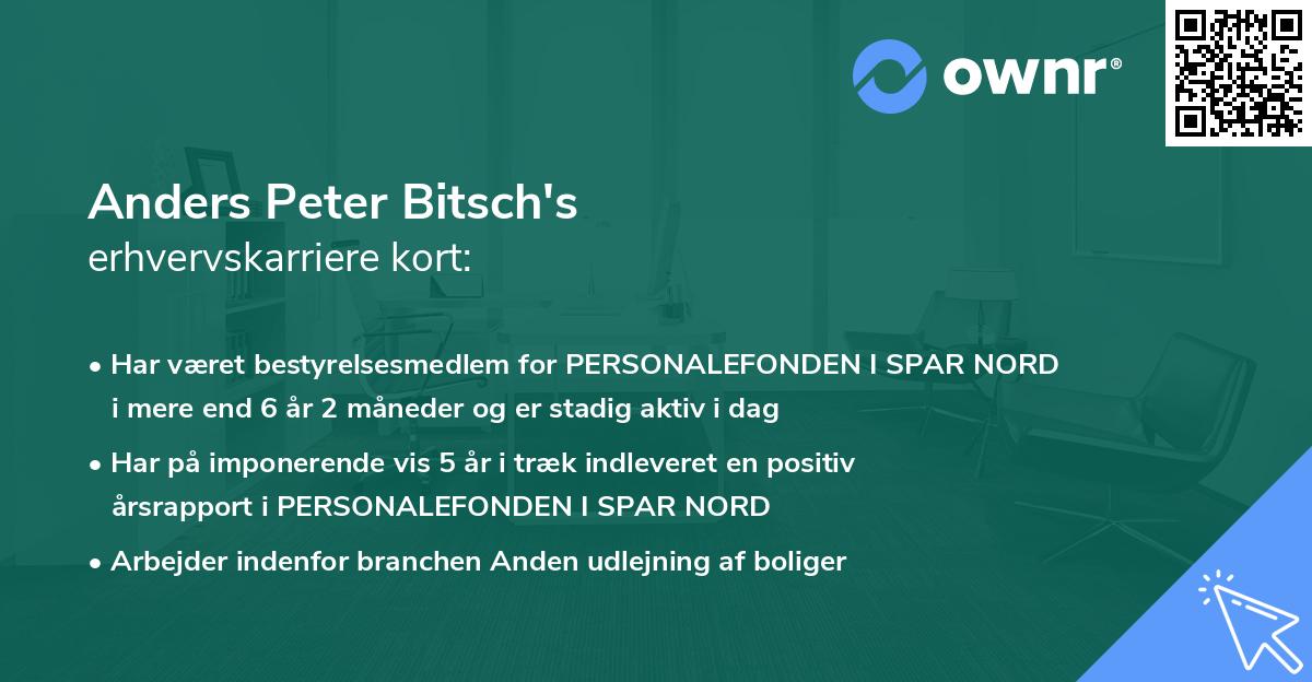 Anders Peter Bitsch's erhvervskarriere kort