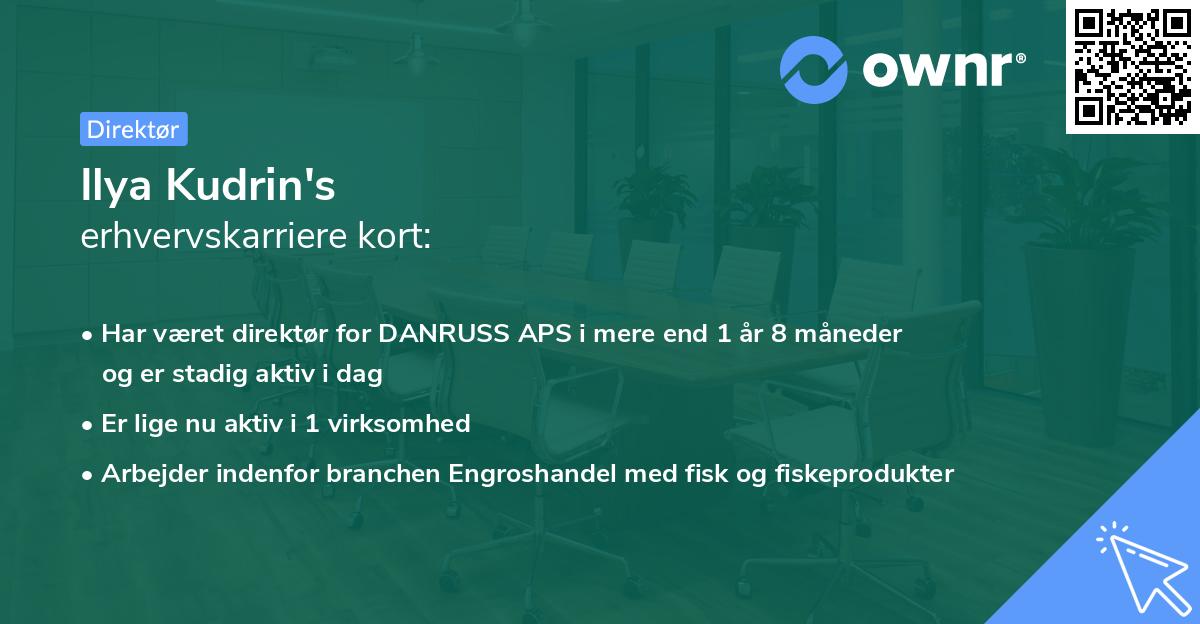 Ilya Kudrin's erhvervskarriere kort