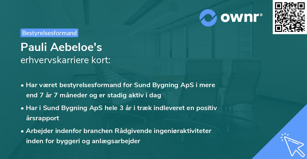 Pauli Aebeloe's erhvervskarriere kort