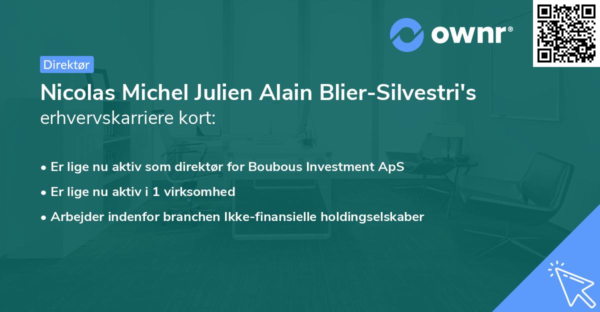 Nicolas Michel Julien Alain Blier-Silvestri's erhvervskarriere kort