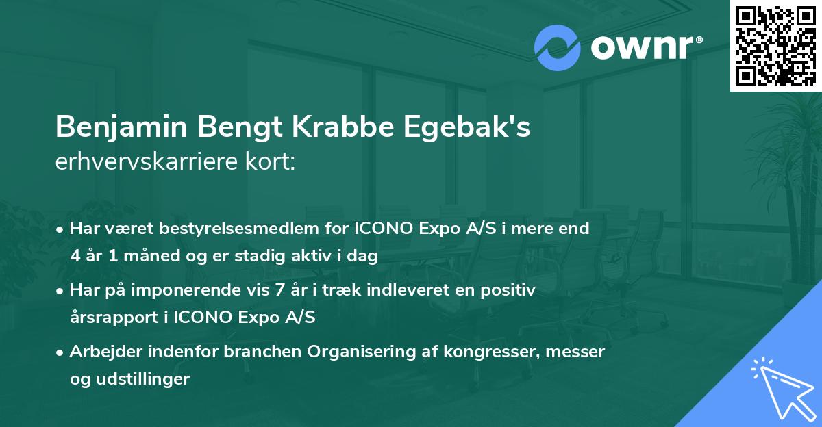 Benjamin Bengt Krabbe Egebak's erhvervskarriere kort