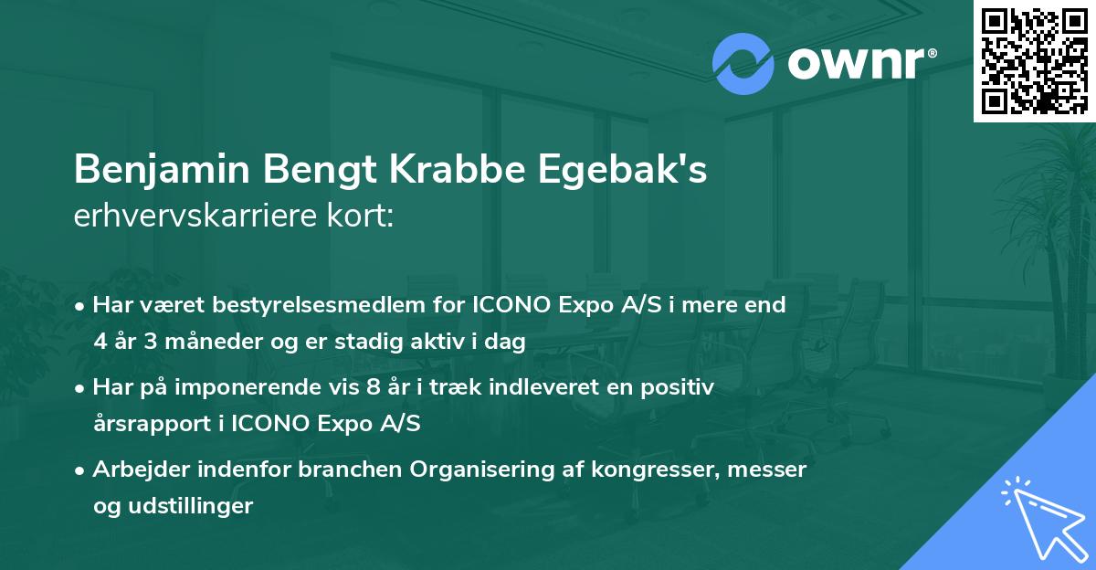 Benjamin Bengt Krabbe Egebak's erhvervskarriere kort