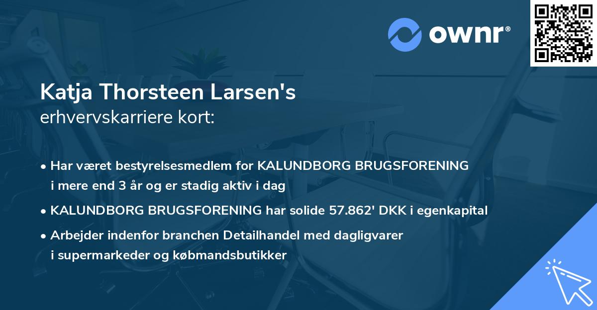 Katja Thorsteen Larsen's erhvervskarriere kort