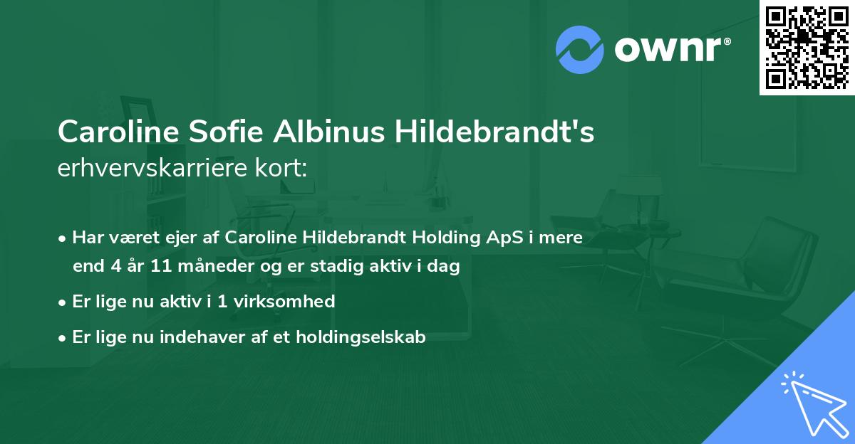Caroline Sofie Albinus Hildebrandt's erhvervskarriere kort
