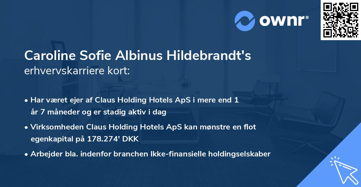 Caroline Sofie Albinus Hildebrandt's erhvervskarriere kort