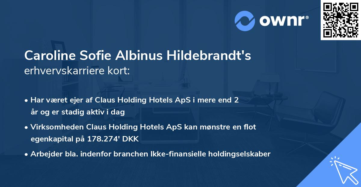 Caroline Sofie Albinus Hildebrandt's erhvervskarriere kort