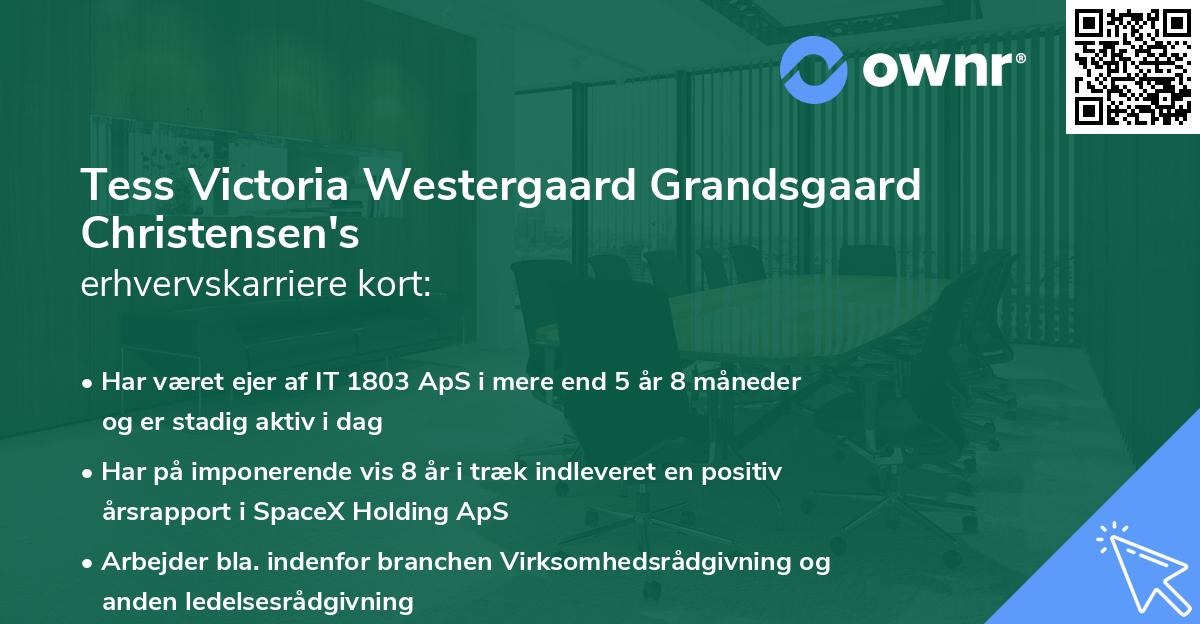 Tess Victoria Westergaard Grandsgaard Christensen's erhvervskarriere kort