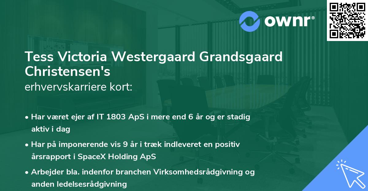 Tess Victoria Westergaard Grandsgaard Christensen's erhvervskarriere kort