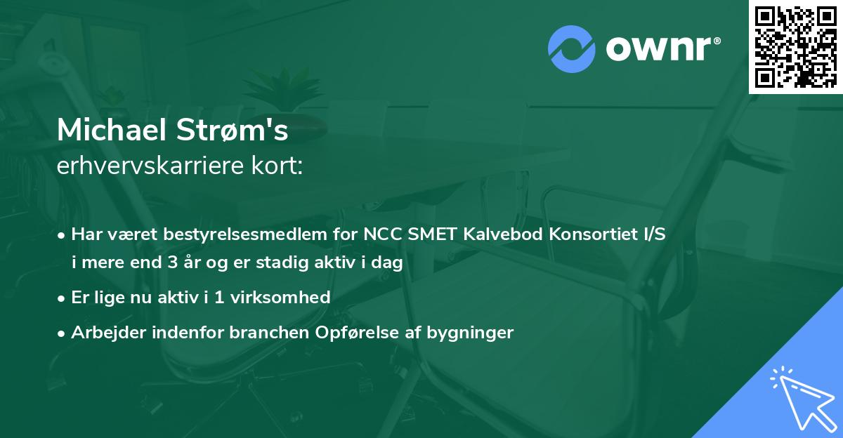 Michael Strøm's erhvervskarriere kort