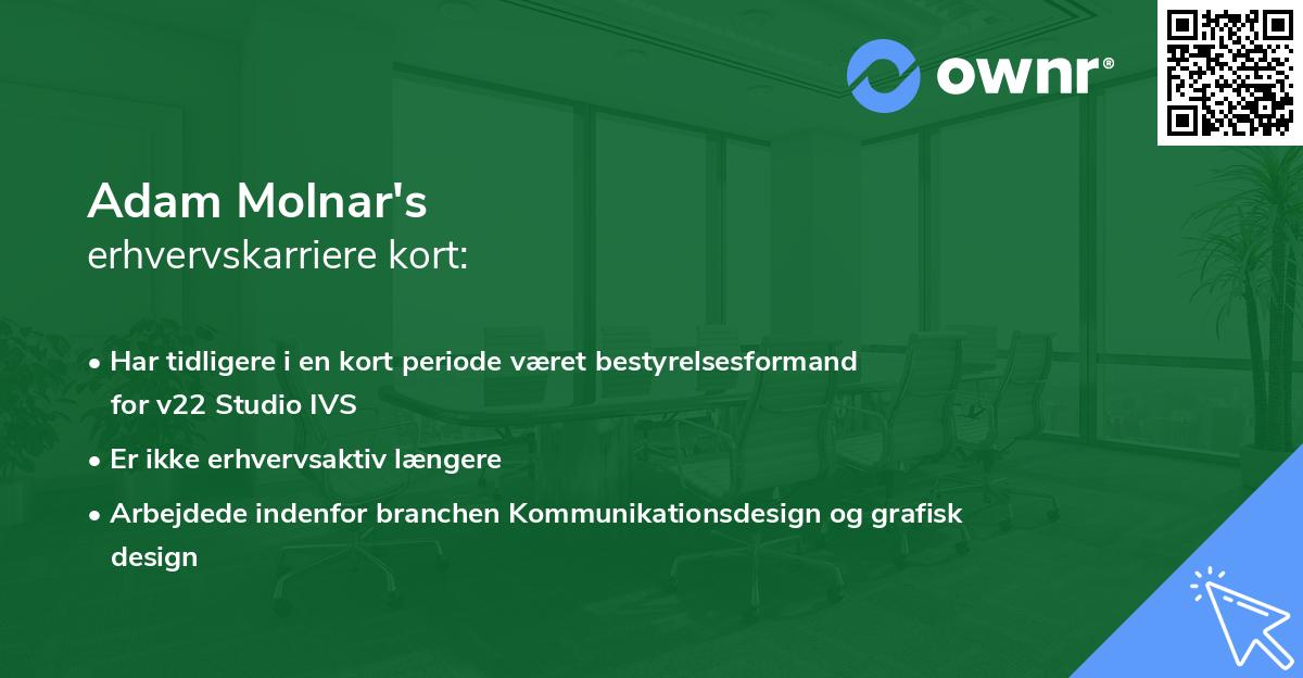 Adam Molnar's erhvervskarriere kort