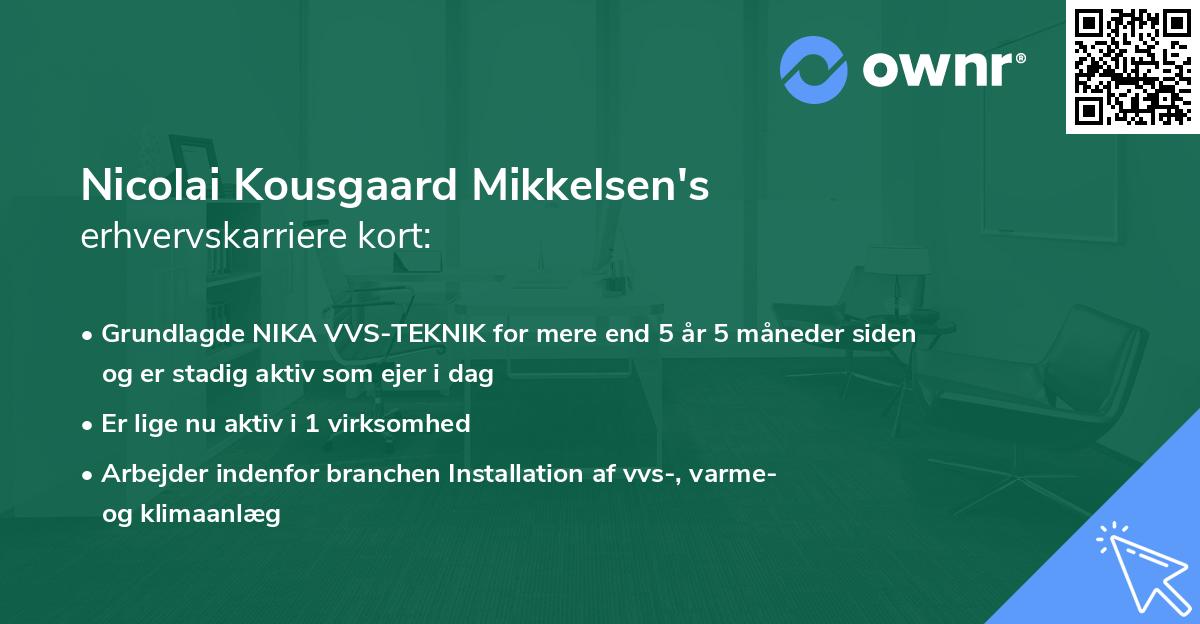 Nicolai Kousgaard Mikkelsen's erhvervskarriere kort