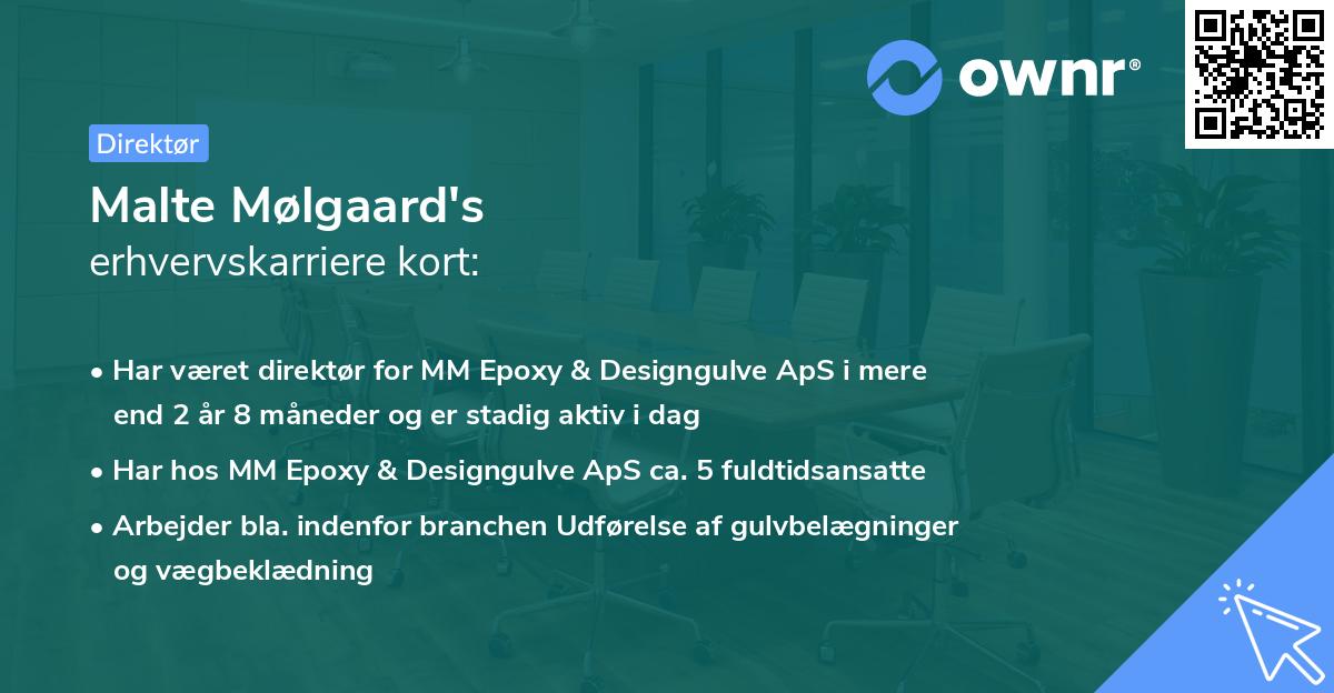 Malte Mølgaard's erhvervskarriere kort