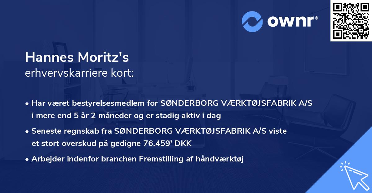 Hannes Moritz's erhvervskarriere kort