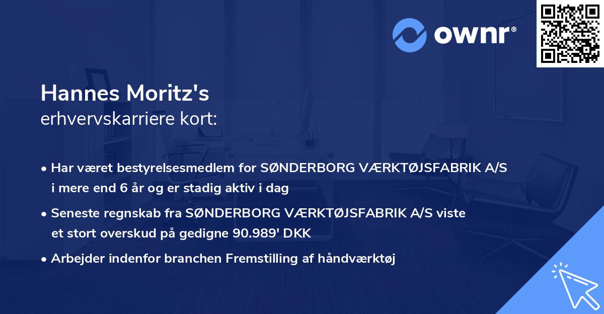 Hannes Moritz's erhvervskarriere kort