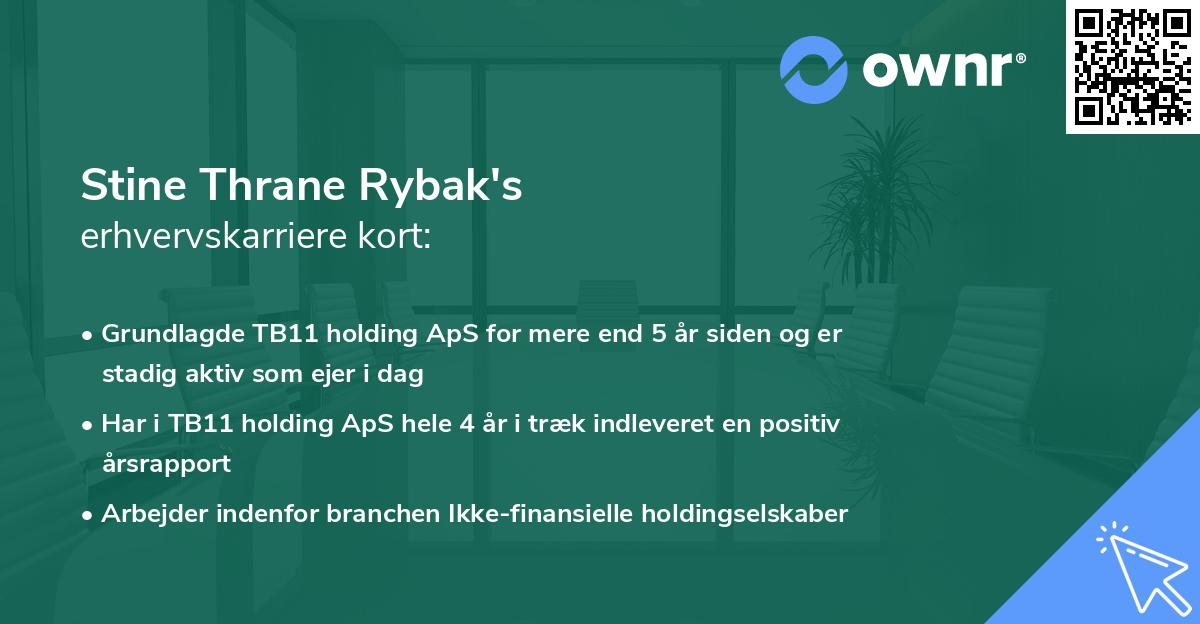 Stine Thrane Rybak's erhvervskarriere kort