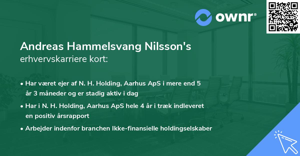 Andreas Hammelsvang Nilsson's erhvervskarriere kort