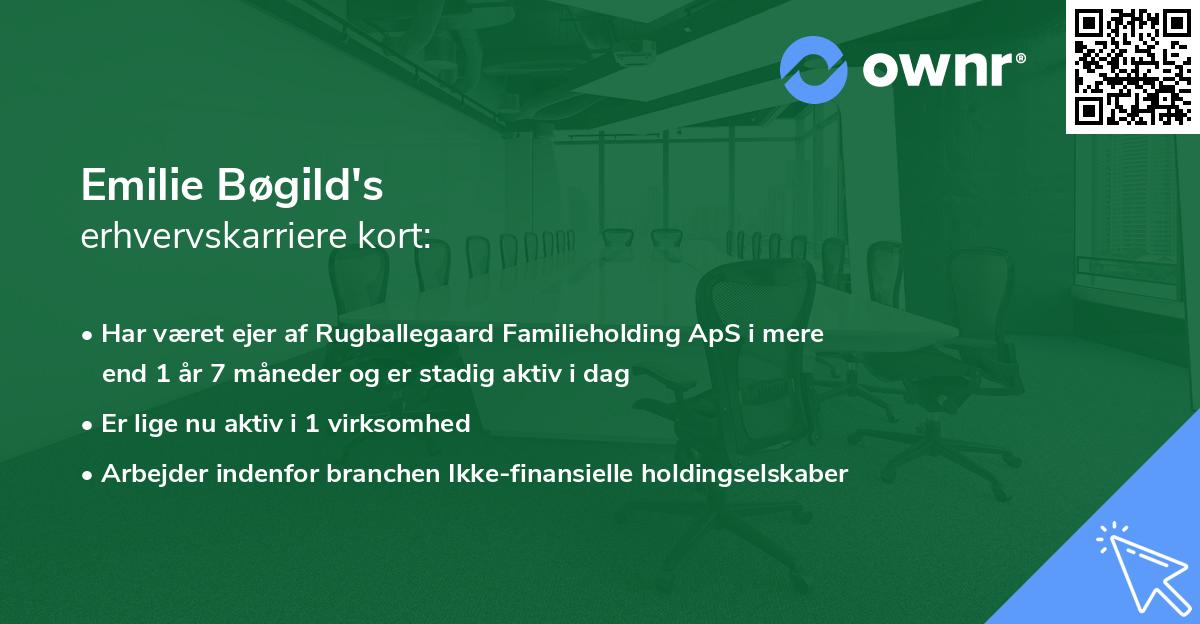 Emilie Bøgild's erhvervskarriere kort