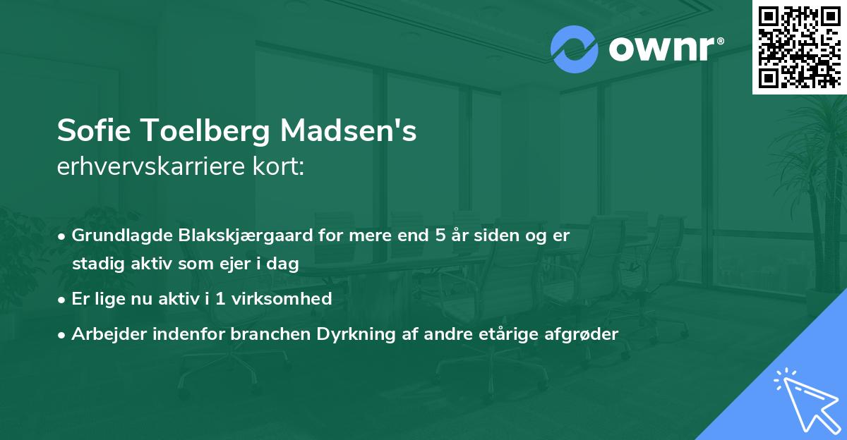Sofie Toelberg Madsen's erhvervskarriere kort