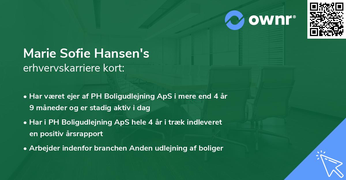 Marie Sofie Hansen's erhvervskarriere kort