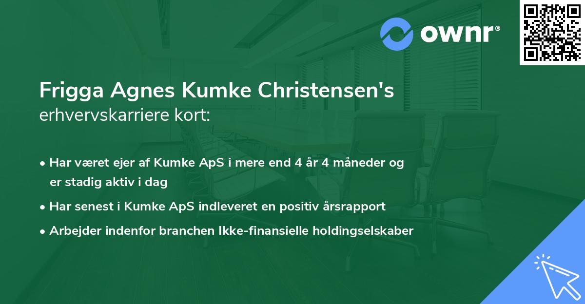 Frigga Agnes Kumke Christensen's erhvervskarriere kort
