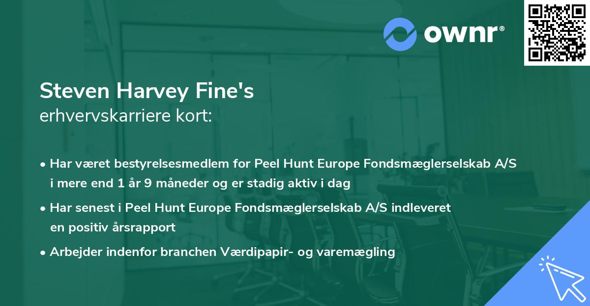 Steven Harvey Fine's erhvervskarriere kort