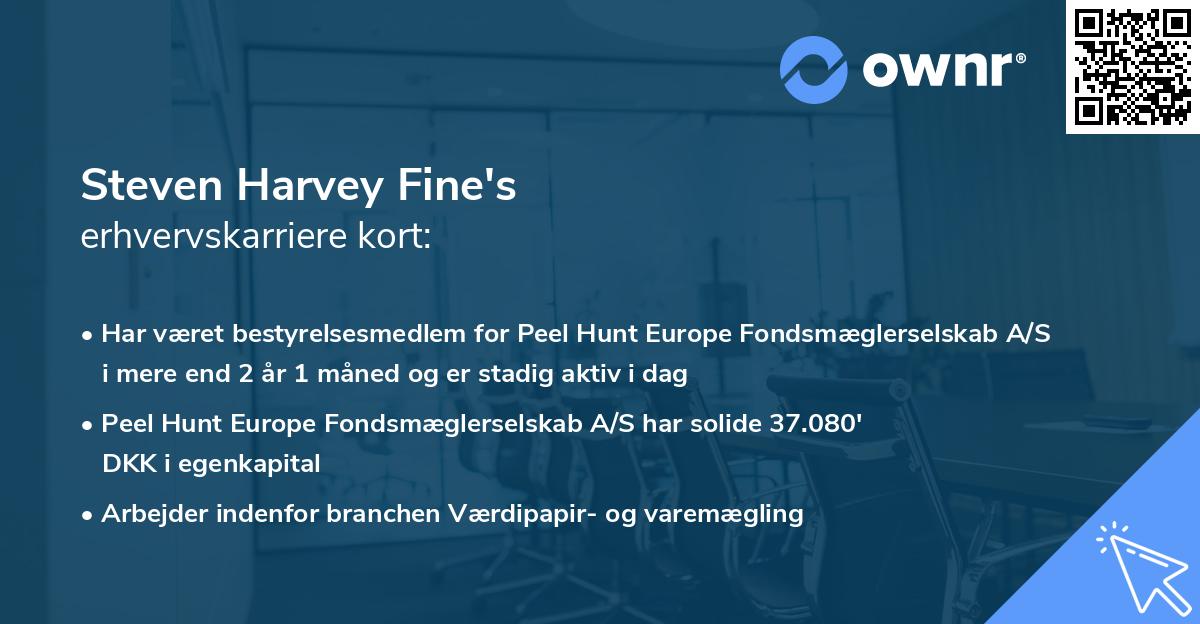 Steven Harvey Fine's erhvervskarriere kort