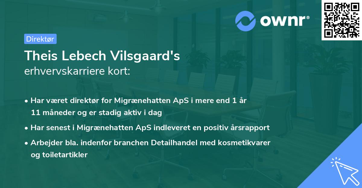 Theis Lebech Vilsgaard's erhvervskarriere kort