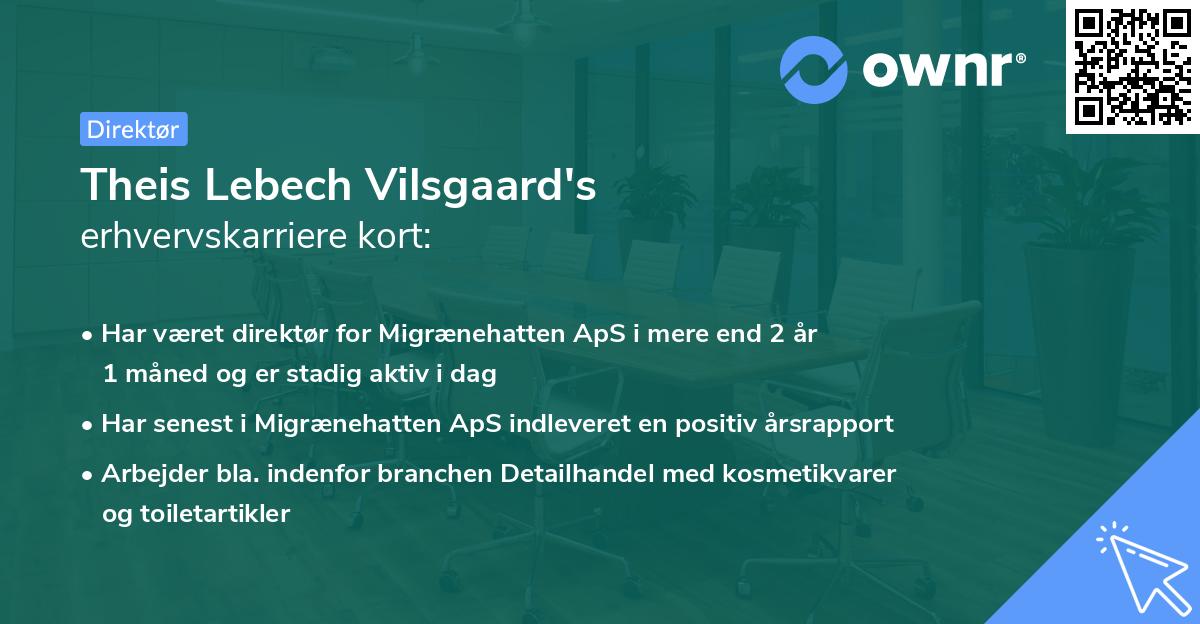 Theis Lebech Vilsgaard's erhvervskarriere kort