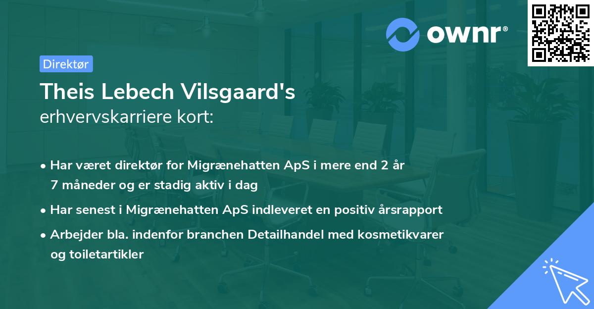 Theis Lebech Vilsgaard's erhvervskarriere kort