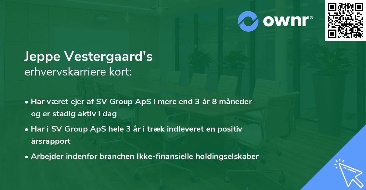 Jeppe Vestergaard's erhvervskarriere kort