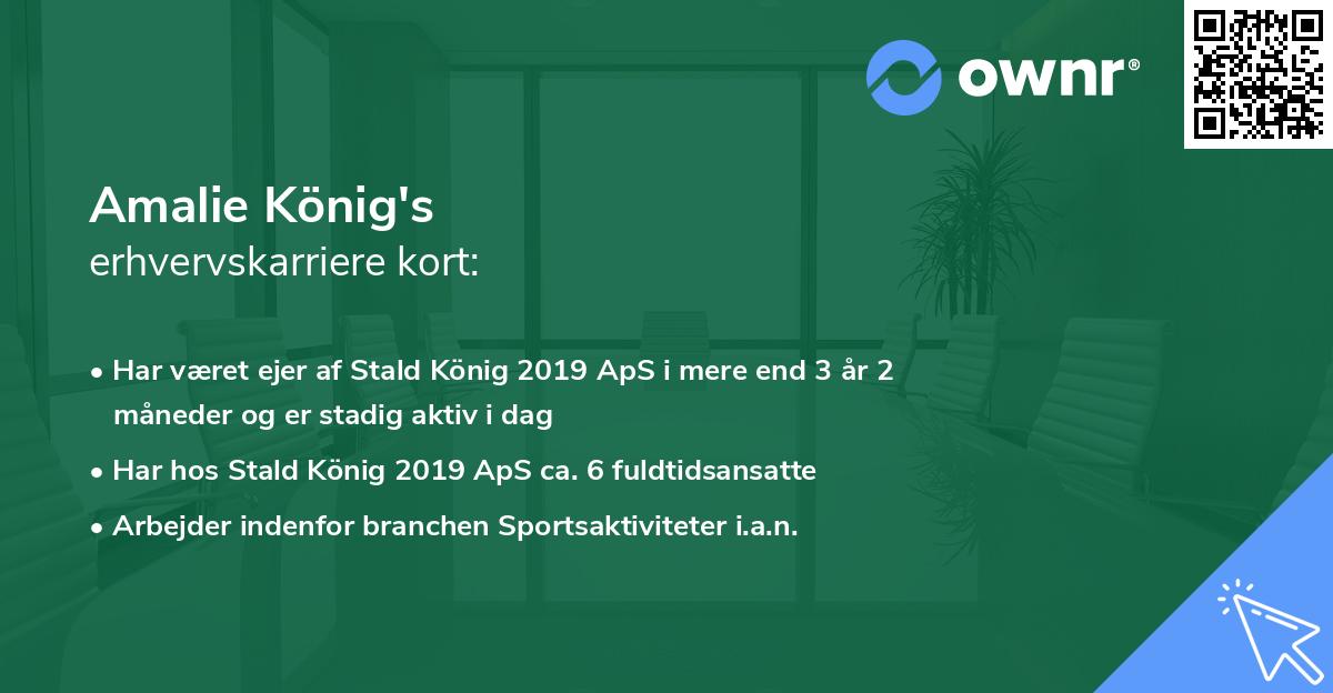 Amalie König's erhvervskarriere kort
